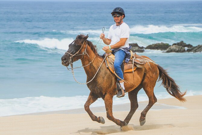 Desert and Beach Horseback Riding Experience in Cabo - The Sum Up: Who Should Consider This Tour?