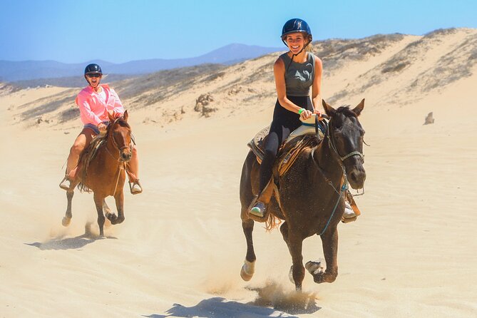 Desert and Beach Horseback Riding Experience in Cabo - What Did Previous Riders Say?