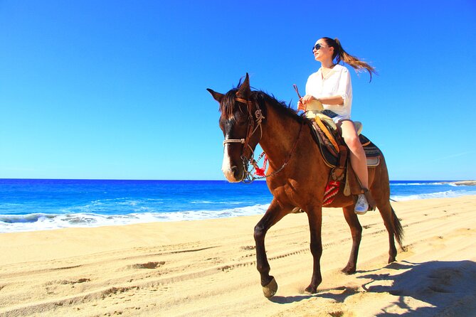 Desert and Beach Horseback Riding Experience in Cabo - Introduction: A Ride to Remember in Cabo