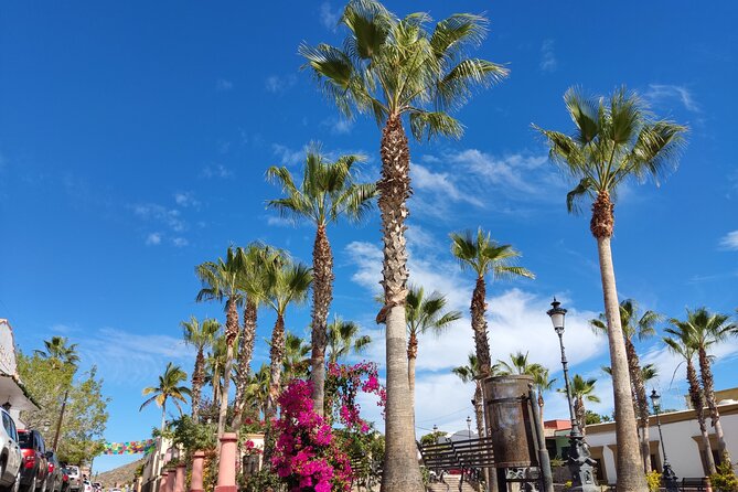 Full Day Tour to Balandra Beach, Todos Santos and La Paz - Practical Details and Tips