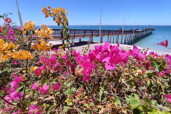Full Day Tour to Balandra Beach, Todos Santos and La Paz - Final Thoughts