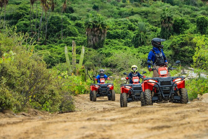 ATVs, UTVs, and Camel Ride in All Access Adventure Park and Beach - FAQ