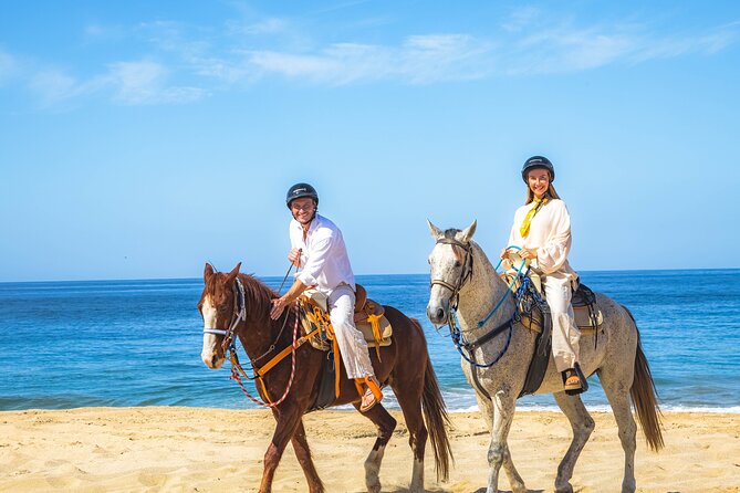 Sky Bike Free Camel Ride and Horseback Riding - Real Experiences and What Travelers Say