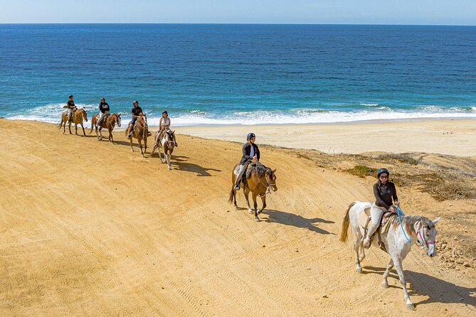Sky Bike Free Camel Ride and Horseback Riding - Who Will Love This Tour?