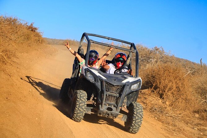 Desert and Beach Buggies Tour - An In-Depth Look at the Desert and Beach Buggies Tour