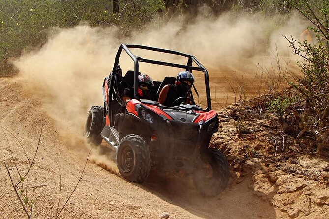 Desert and Beach Buggies Tour - FAQs