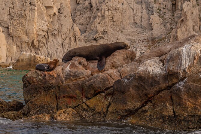 Boat Tour Snorkeling Tour with Guide, Drinks and Fruit - The Itinerary Breakdown