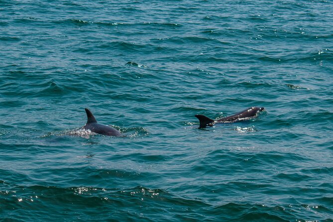 Boat Tour Snorkeling Tour with Guide, Drinks and Fruit - Practical Details and What to Expect