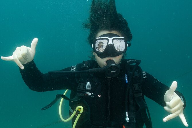 Cabo San Lucas 2 Tank Scuba Diving - The Sum Up