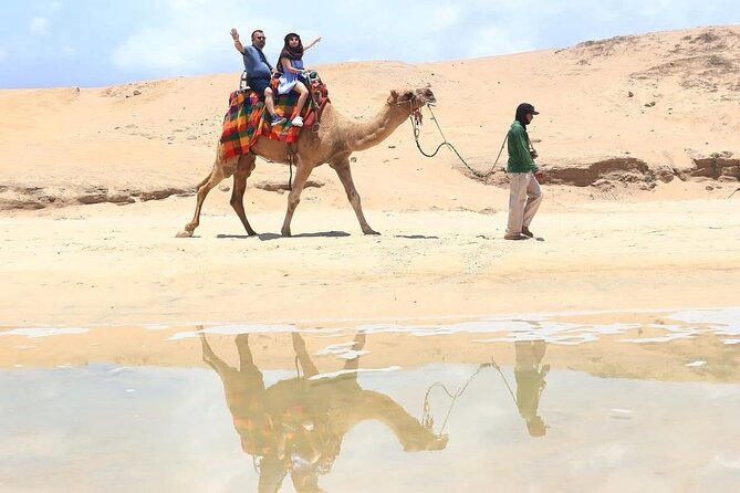 Cabo San Lucas Combo 2 in 1 Skybikes, ATV, RZR, Horses or Camel - What to Expect from the Tour