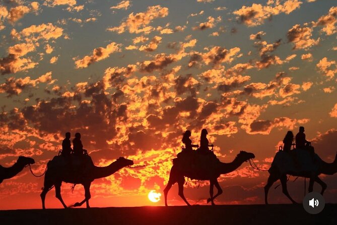 Cabo San Lucas Combo 2 in 1 Skybikes, ATV, RZR, Horses or Camel - An Exciting Day in Cabo San Lucas: Skybikes, ATVs, Camels, and More