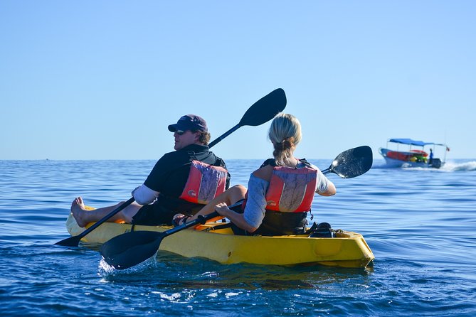 Private Glass bottom Kayak and snorkel at two Bays - Who Should Consider This Tour?