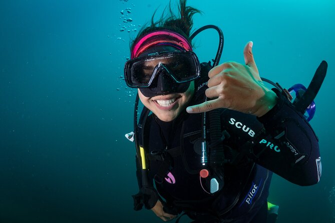 2 Dives in the Cabo Marine Park - A Closer Look at the Experience