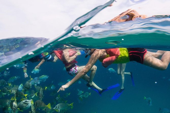Snorkel Tour and Glass-Bottom Boat Ride in Cabo San Lucas - What Makes This Tour Special