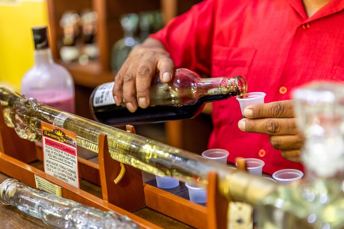 Dinner Cruise Tour in Cabo San Lucas with Tequila Tasting - Who Will Enjoy This Tour Most?