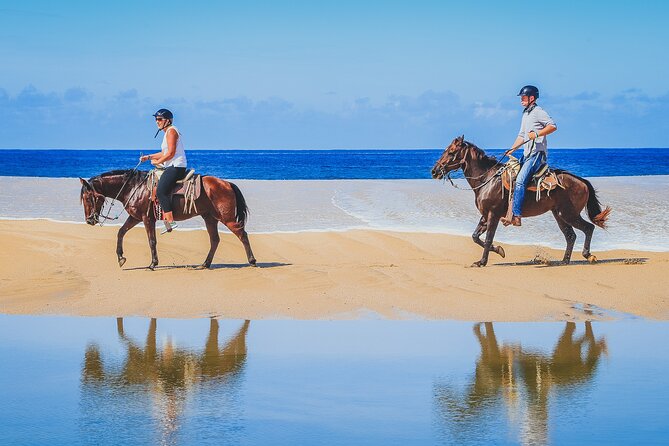 Los Cabos Horseback Riding - The Experience in Detail