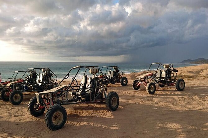 Spider Dune Buggy Adventure in Los Cabos - Authentic Insights from Reviewers