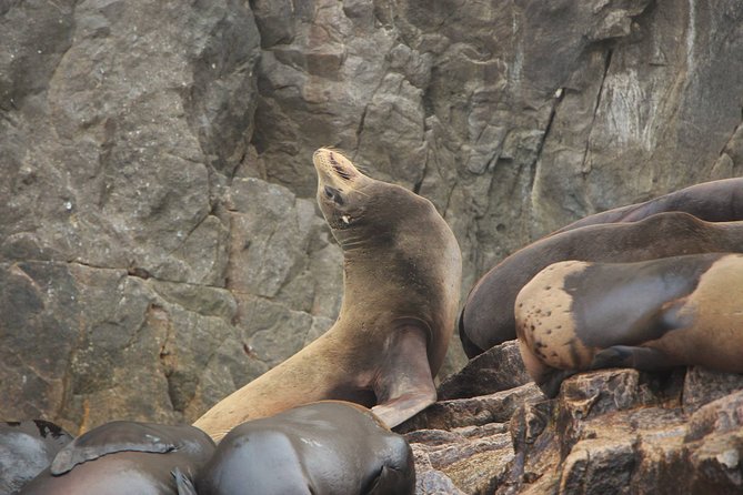 Los Cabos Shared Tour: Explore El Arco and Glass Factory - What’s Included and What to Keep in Mind