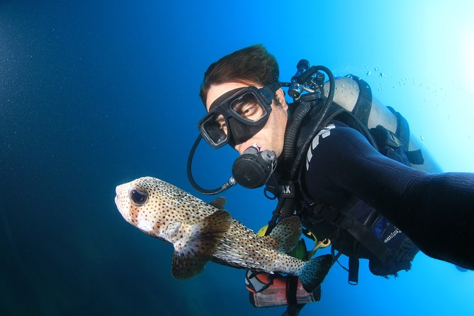 Cabo San Lucas Certified 2 Tank Dive at the Famous Arch and Land's End - A Closer Look at the Itinerary and Experience