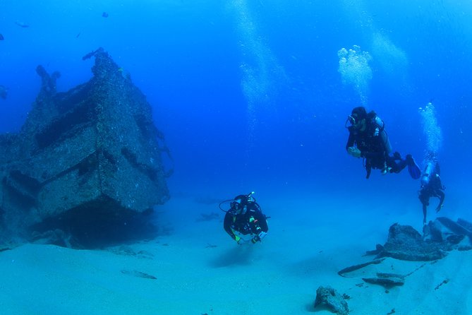 Cabo San Lucas Certified 2 Tank Dive at the Famous Arch and Land's End - Final Thoughts: Is This Dive Tour for You?
