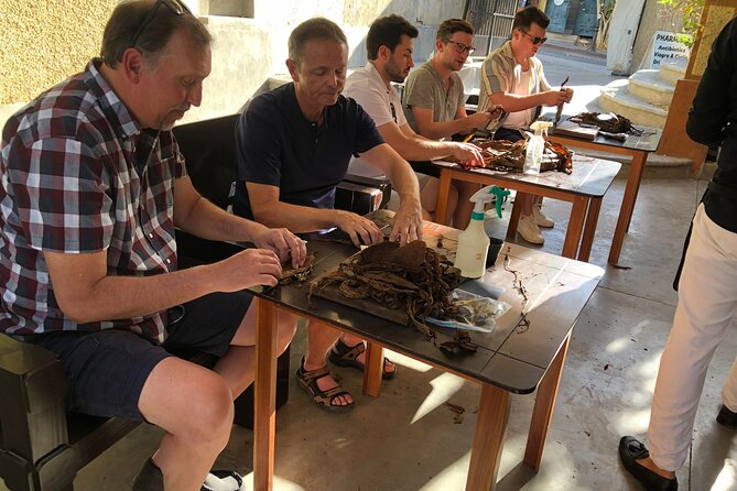 Private Puro Cigar Creation Workshop in Los Cabos - Accessibility and Practical Details
