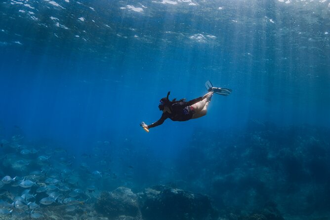 Snorkeling in San Jose del Cabo - The Eco-Friendly Approach