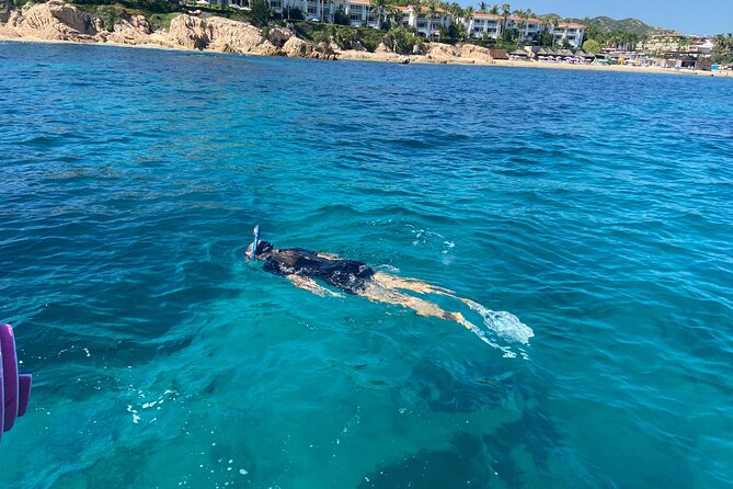 Snorkeling en San José del Cabo , Lunch , Snack , Drinks - Final Thoughts: Who Is This Tour Best For?