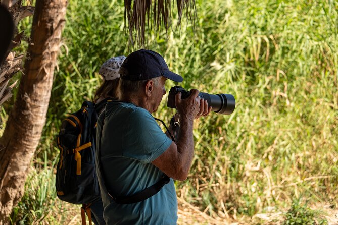 Cabo birding | Bird watching at bird sanctuary - Frequently Asked Questions