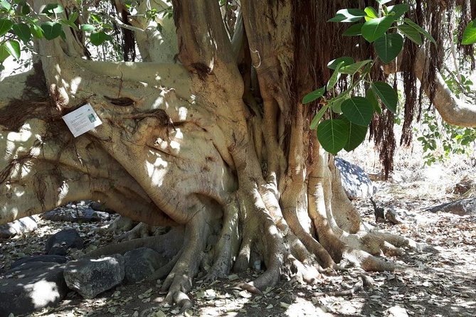 Rural And Hiking Expedition In Sierra La Laguna - Authentic Encounters and Unique Insights