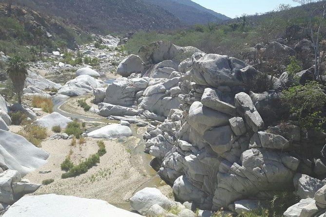 Rural And Hiking Expedition In Sierra La Laguna - Rural Baja and Local Flavors