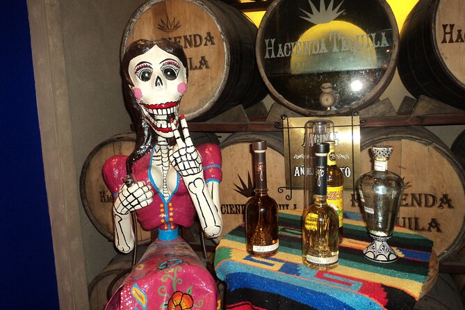 Best of Cabo Highlights 6x1 - A Deep Dive into the Cabo Highlights Tour