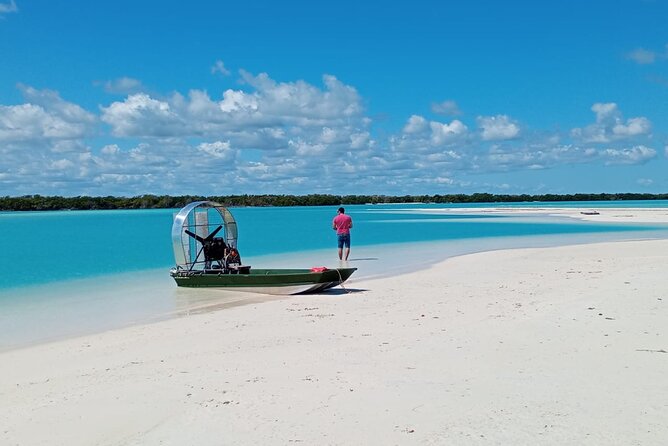 Airboat Adventure - Is This Tour Worth It?