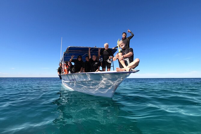 Whale Shark Snorkeling Experience from Cancun and Riviera Maya - FAQ About the Whale Shark Snorkeling Experience