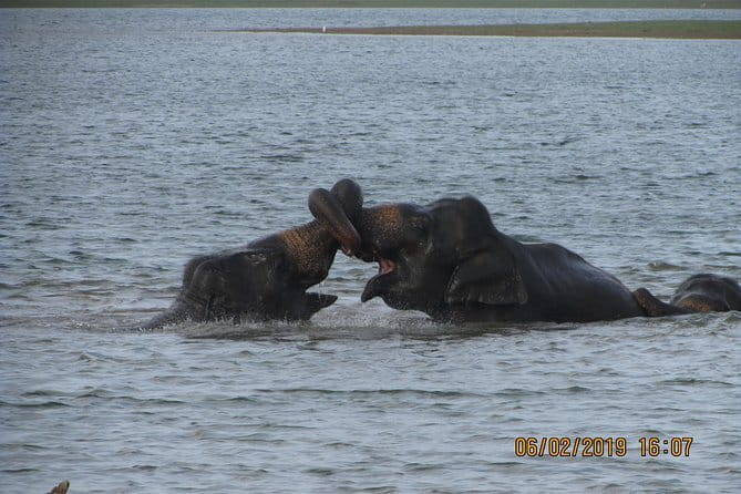 Udawalawe Safari & Baby Elephants Visit from Hambantota Port - FAQ