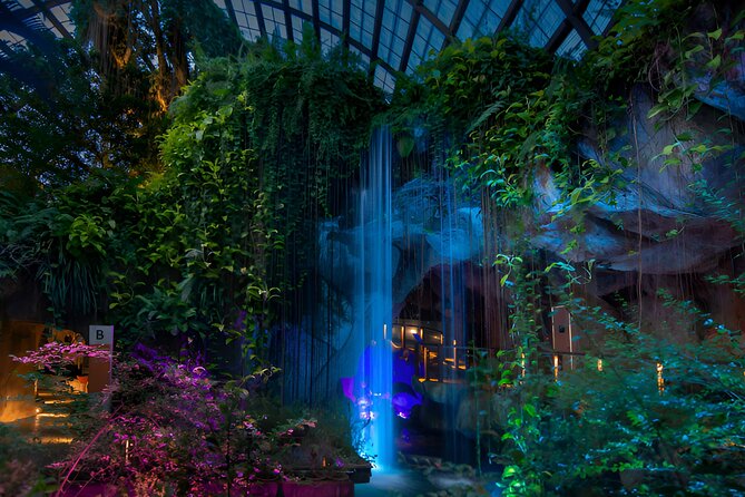 Entopia Butterfly and Nature Discovery Park Entry Ticket Penang - Final Thoughts: Is Entopia Worth It?