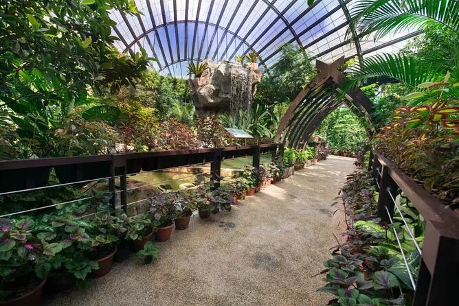 Entopia Butterfly and Nature Discovery Park Entry Ticket Penang - Exploring the Magic of Entopia Butterfly and Nature Discovery Park in Penang