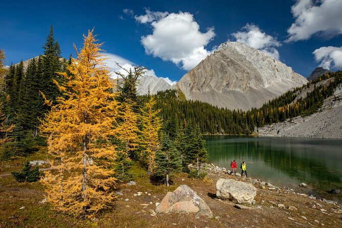 EXPLORE Canmore's HIDDEN Trails and Local Landmarks - 3H Hike - Good To Know