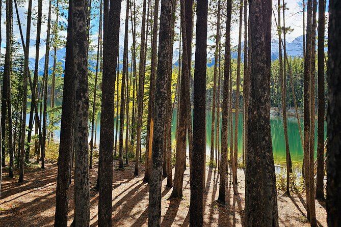 From Canmore/Banff: Columbia Icefield Skywalk Peyto Private Tour - Good To Know