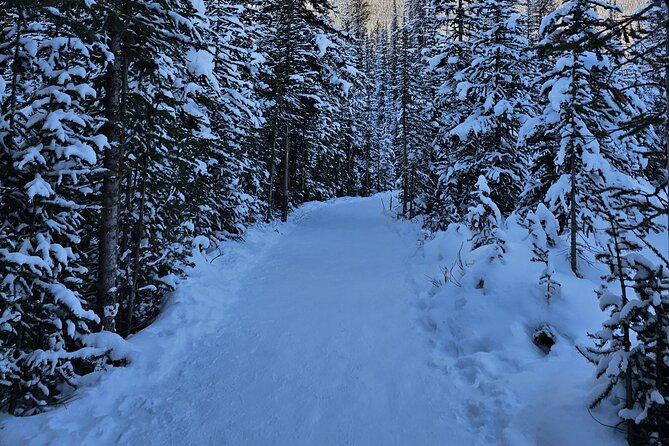 From Canmore/Banff: Columbia Icefield Skywalk Peyto Private Tour - Frequently Asked Questions