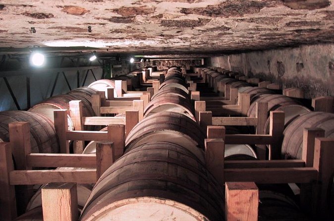 North Part Of Martinique Island Private Tour - Final Thoughts