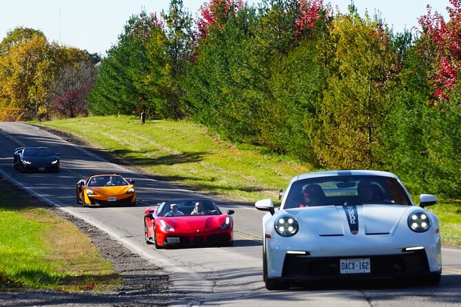 Exotic Car Driving Tours with Super Cars in Blue Mountain - Who Will Love This Tour?