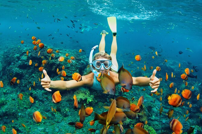 Diving and Snorkeling Catamaran Private Tour in Martinique - Who Should Consider This Tour?