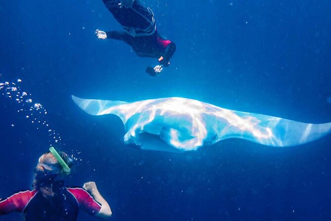 Belize: See & Experience it ALL in 10 Days, 1st Class Custom Tours - Belize: See & Experience it ALL in 10 Days, 1st Class Custom Tours