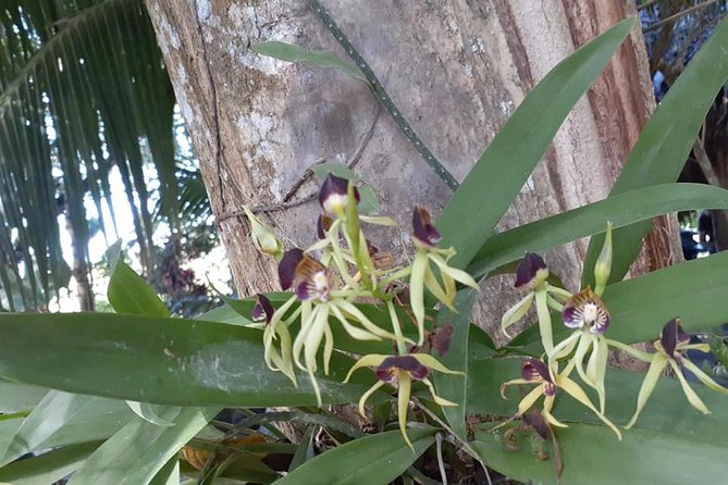 Altun Ha and Kukumba Beach - Final Thoughts: Is This Tour Right for You?