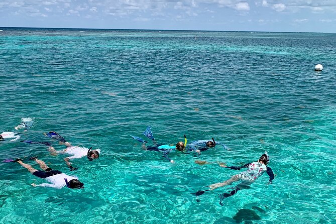 Turtle Garden Snorkeling Tour and Island Break - A Closer Look at the Practicalities and Value