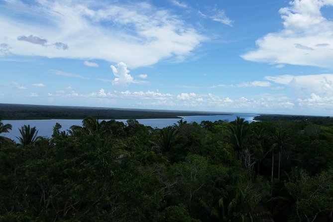 Lamanai Mayan Site and Safari River tour from Belize City - Exploring the Details: A Deep Dive into the Lamanai Tour