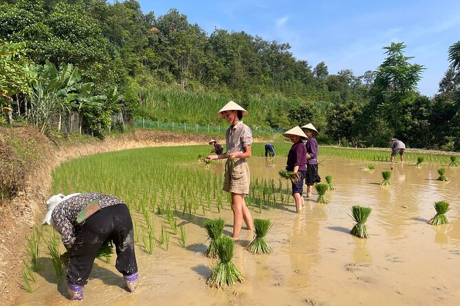 3-Day Cao Bang Loop Motorbike Adventure, Ethnic Life from Hanoi - FAQs