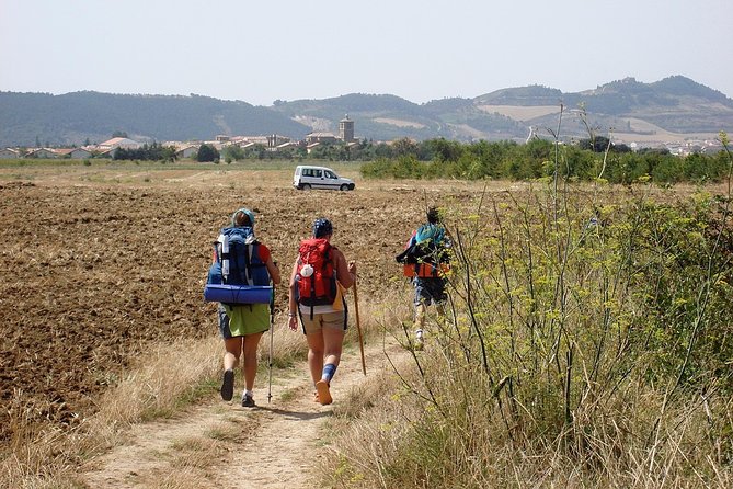 Camino De Santiago: Last 100 km walk from Sarria to Santiago de Compostela - Who is this tour best suited for?