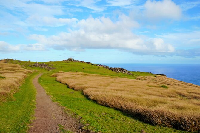 Half Day Private Tour: Rano Kau and Orongo the City of Kings - FAQs