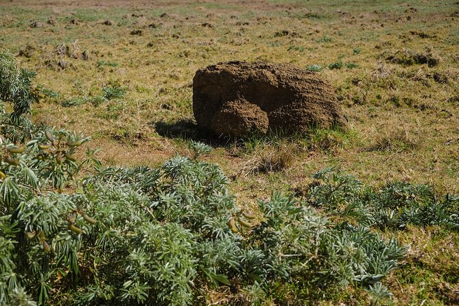 Private Tour: Easter Islands Forgotten Pike Peninsula - Final Thoughts: Is This Tour for You?